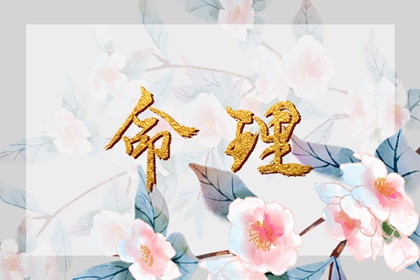 四柱取名_木旺缺火取名_男生取名字大全_八字弱起名_八卦取名字方法